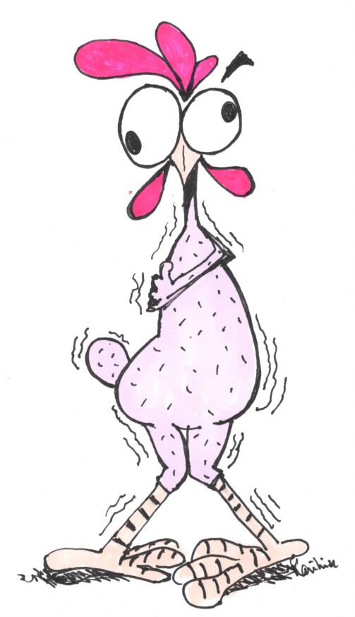 ribba kylling